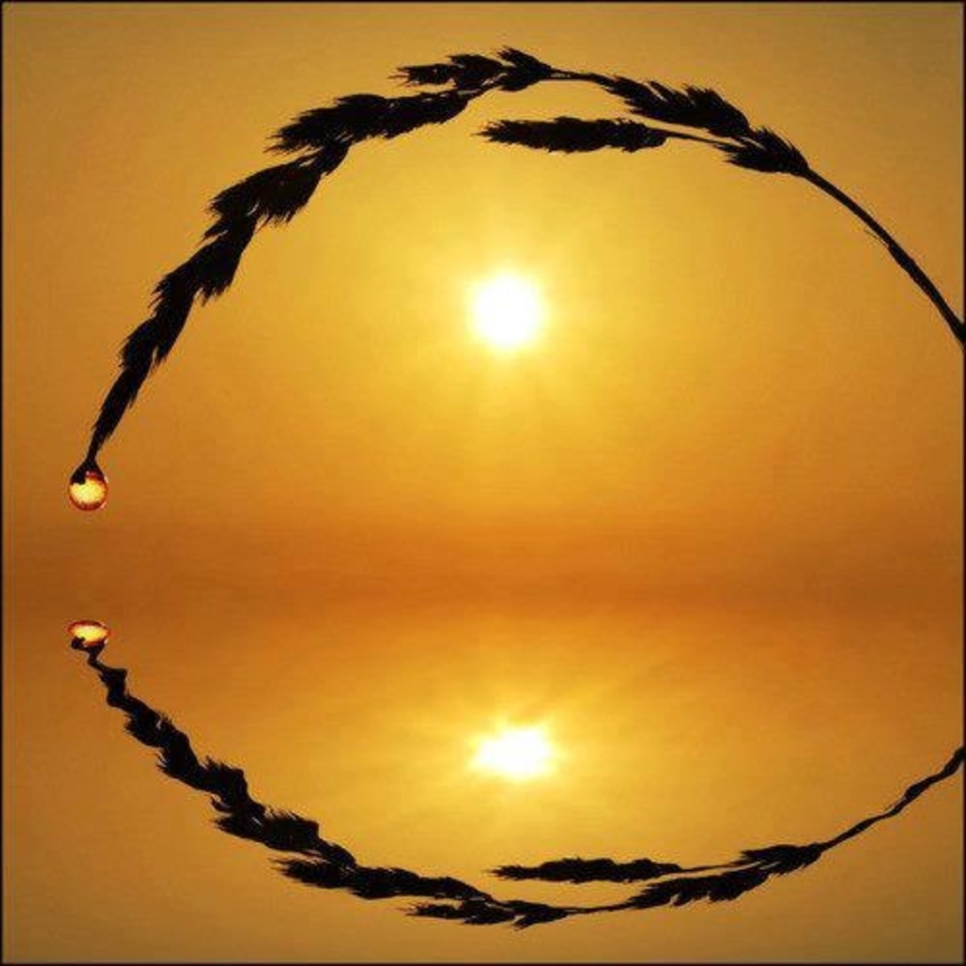 Brahma Kumaris Valencia