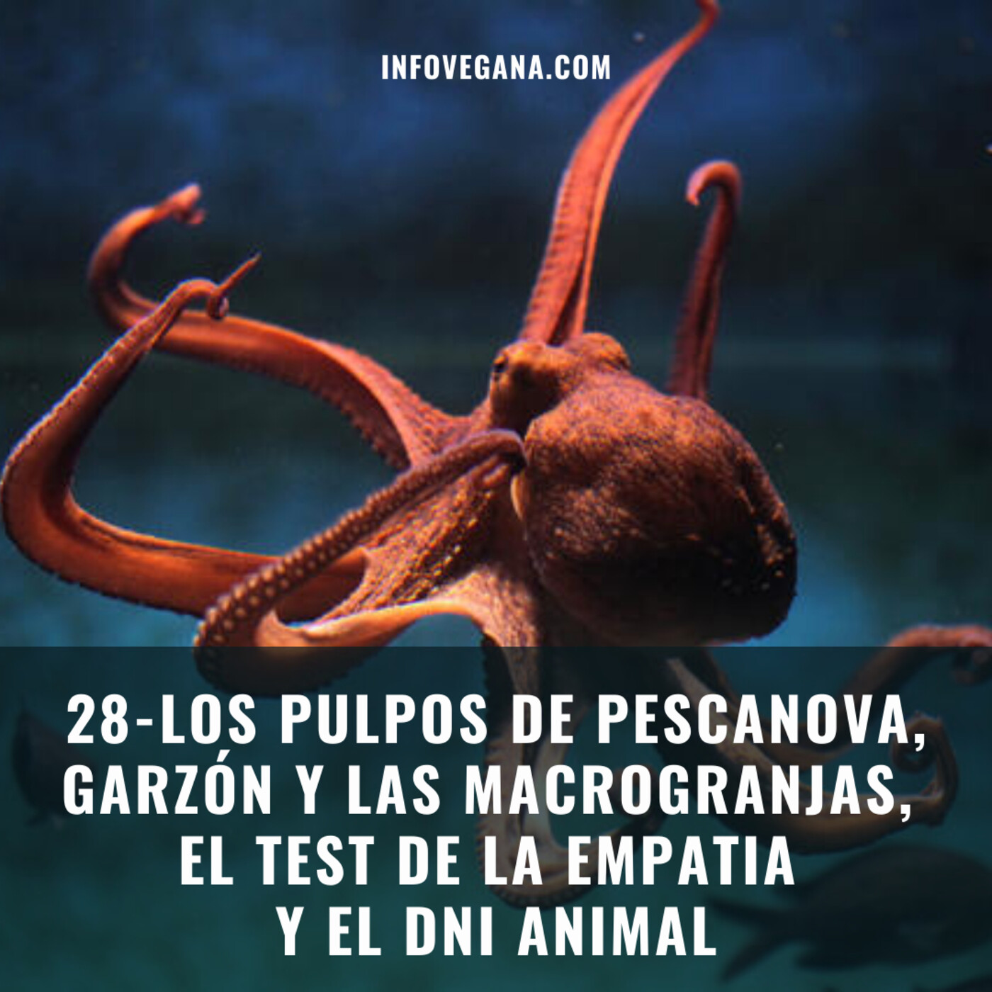 Infovegana, podcast de veganismo y sostenibilidad