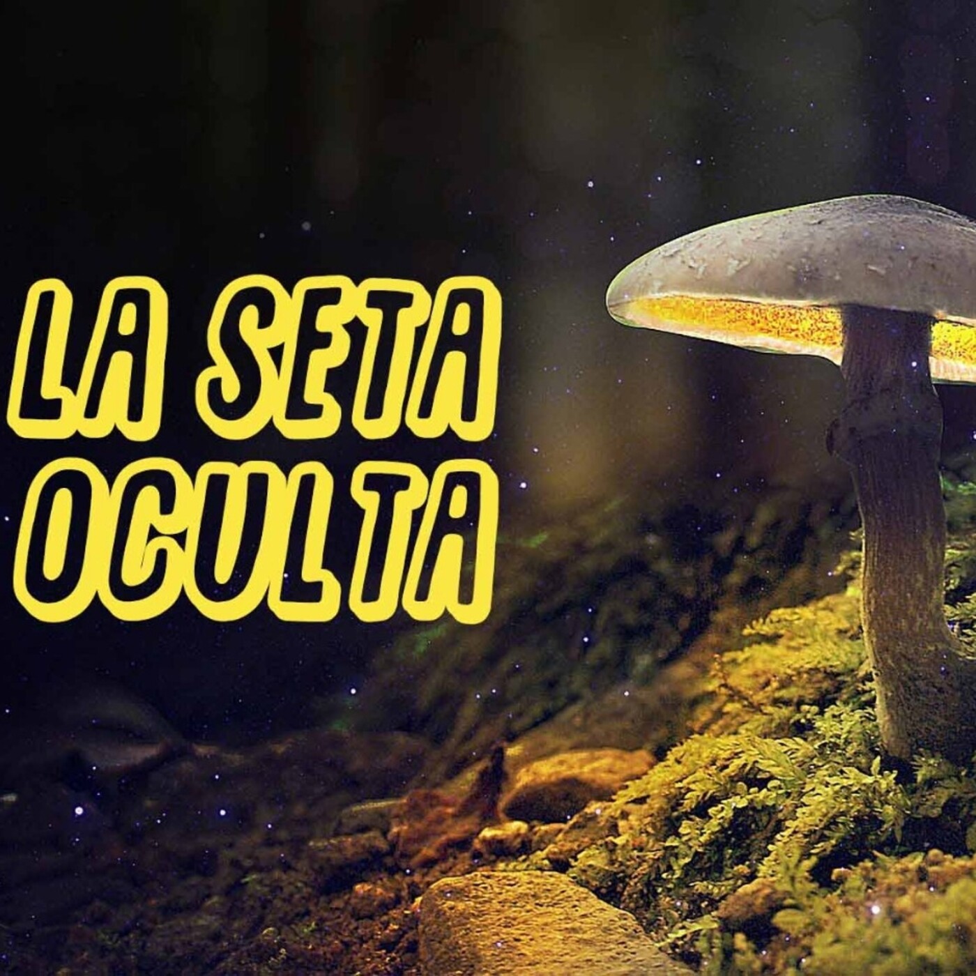 La Seta oculta