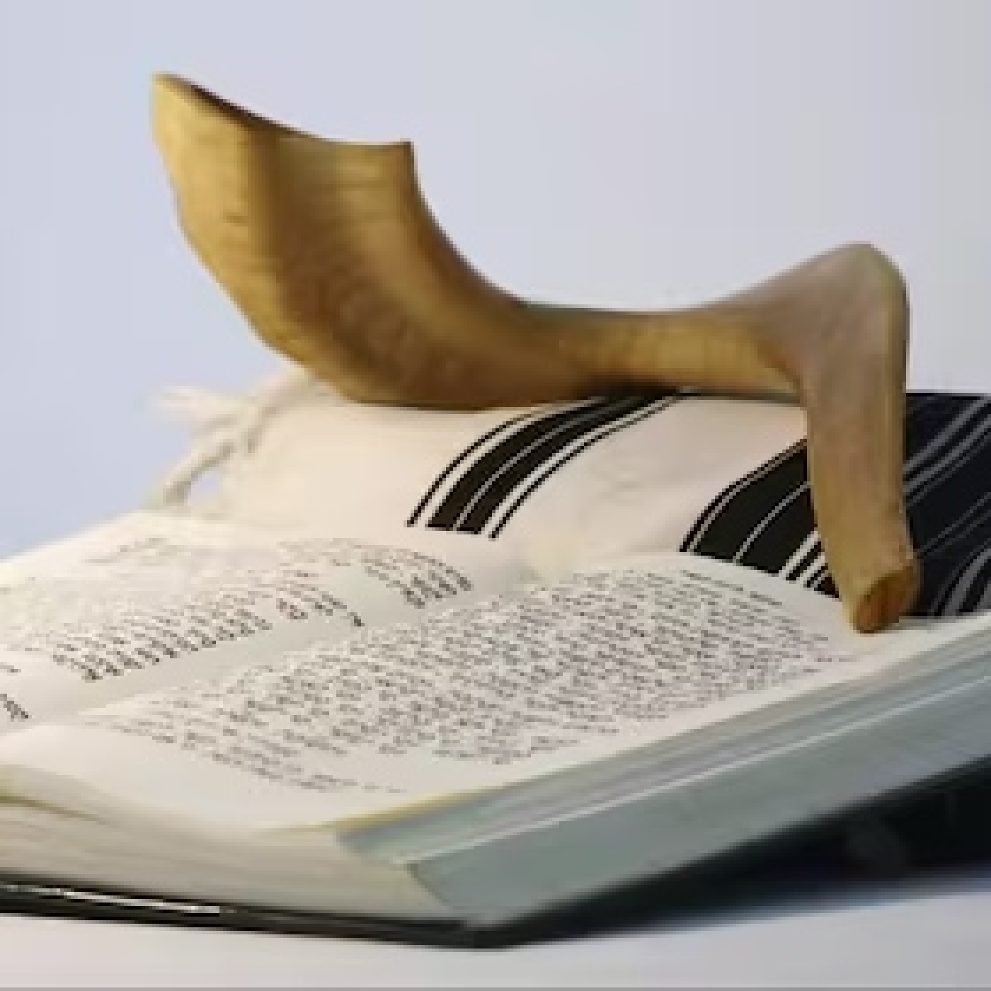 Efrayimbenshalom