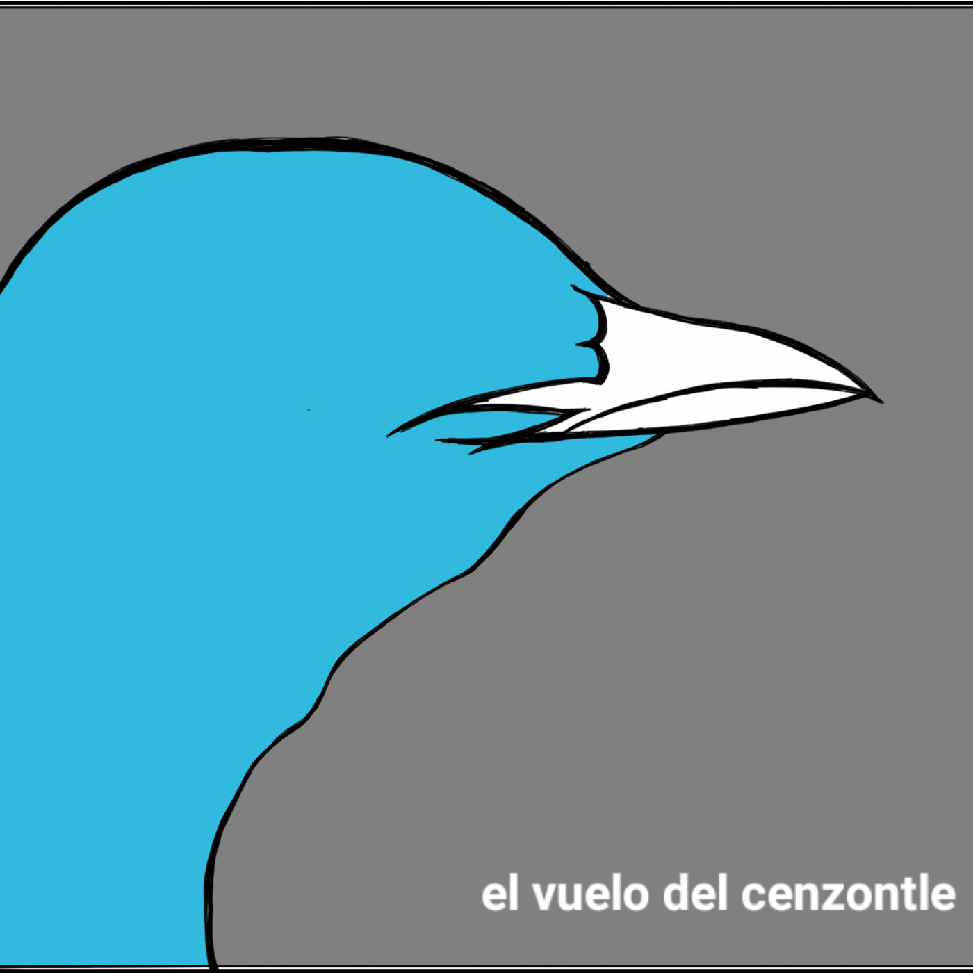 El Vuelo del Cenzontle