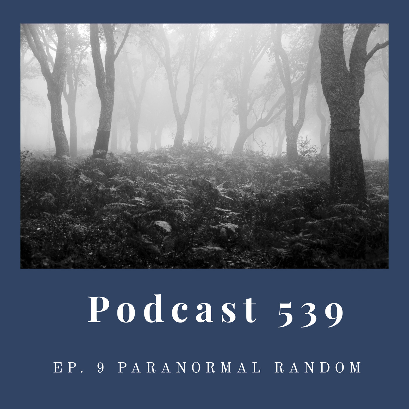 Podcast 539