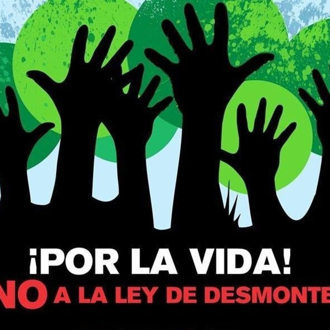 Entrevista a Integrantes de la Coordinadora en Defensa del #BosqueNativo episode artwork