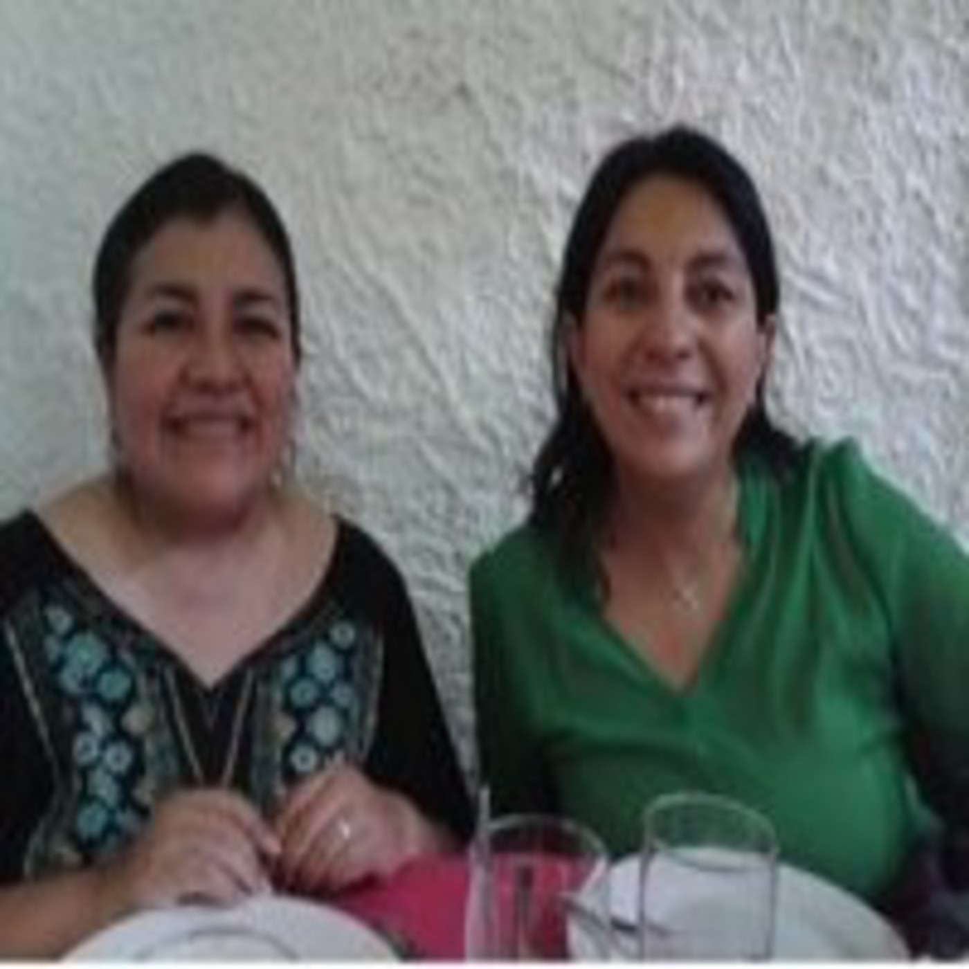 Difusión interpretación simultánea profesional