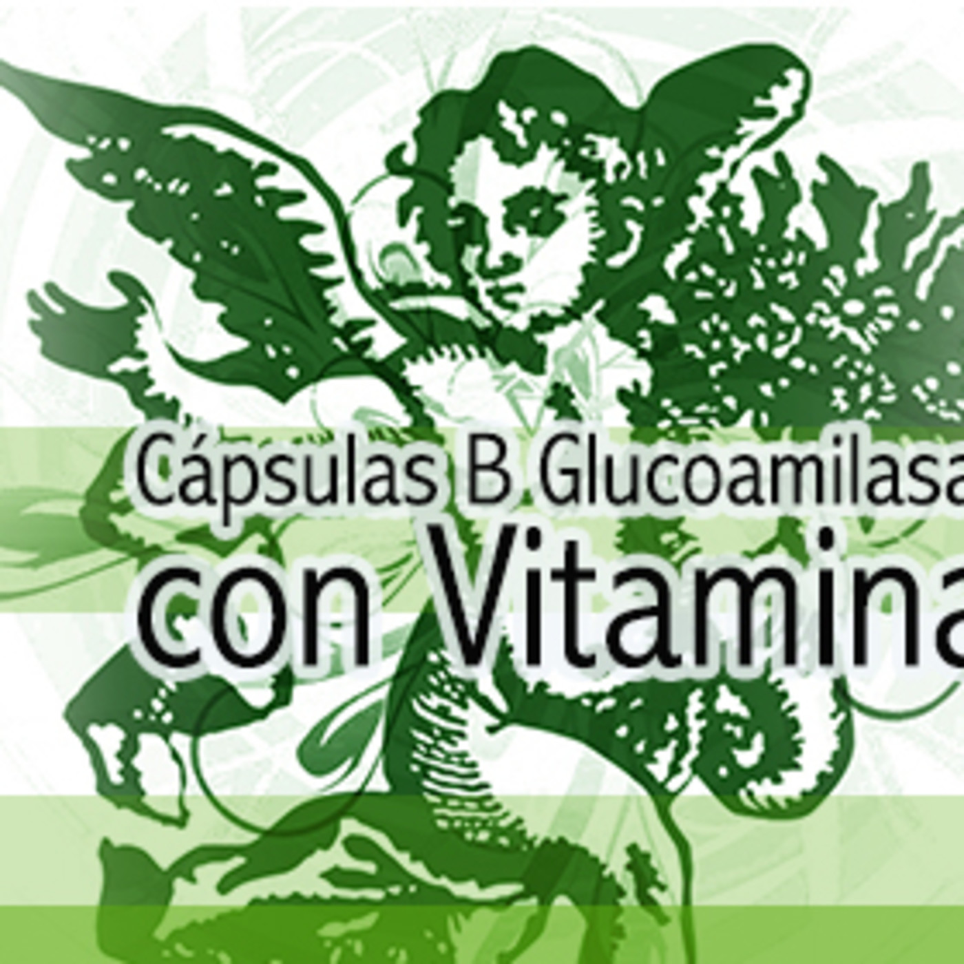 El Angel de tu Salud - GLUCOSAMINA CON VITAMINA B6