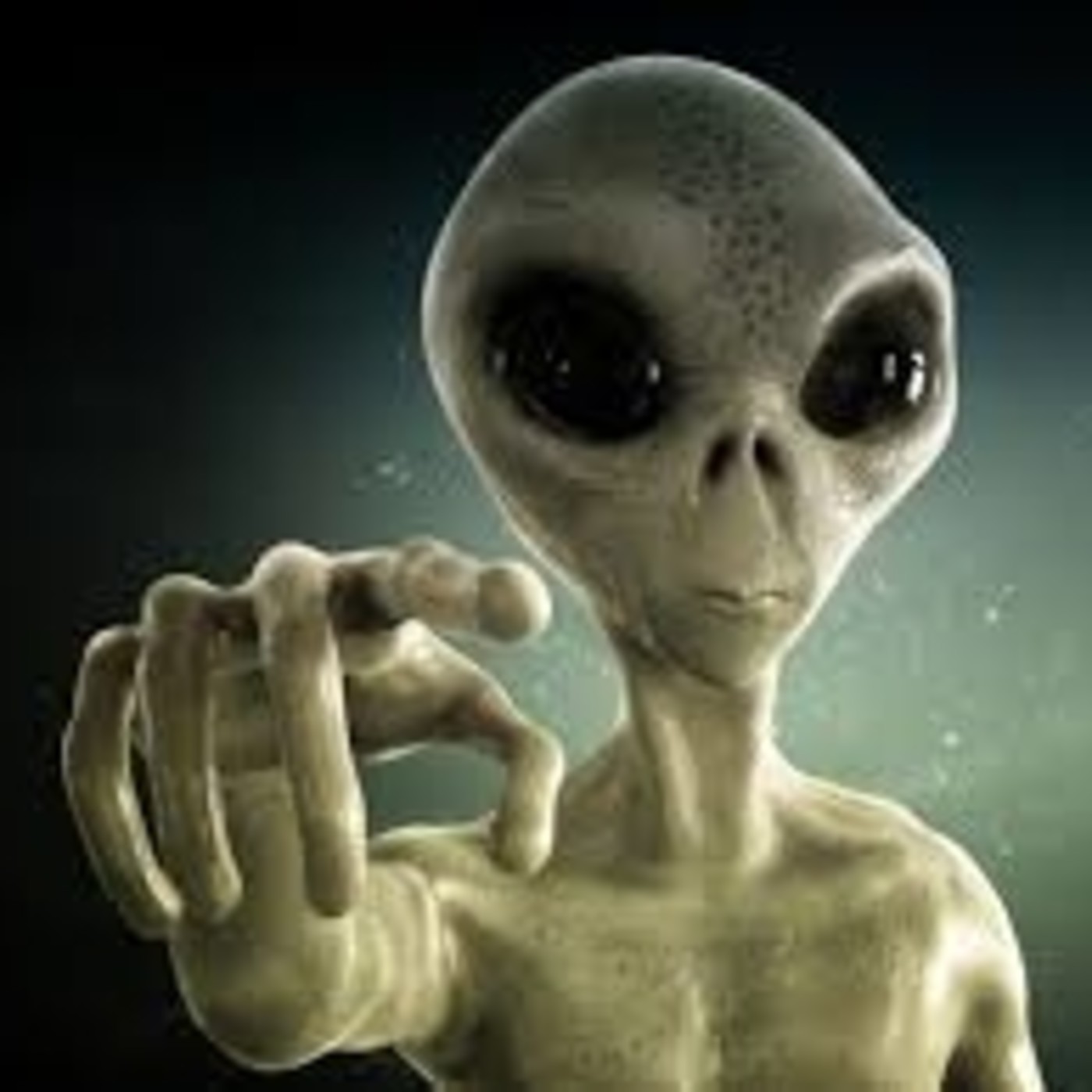 PARA NORMALES DE LA NOCHE