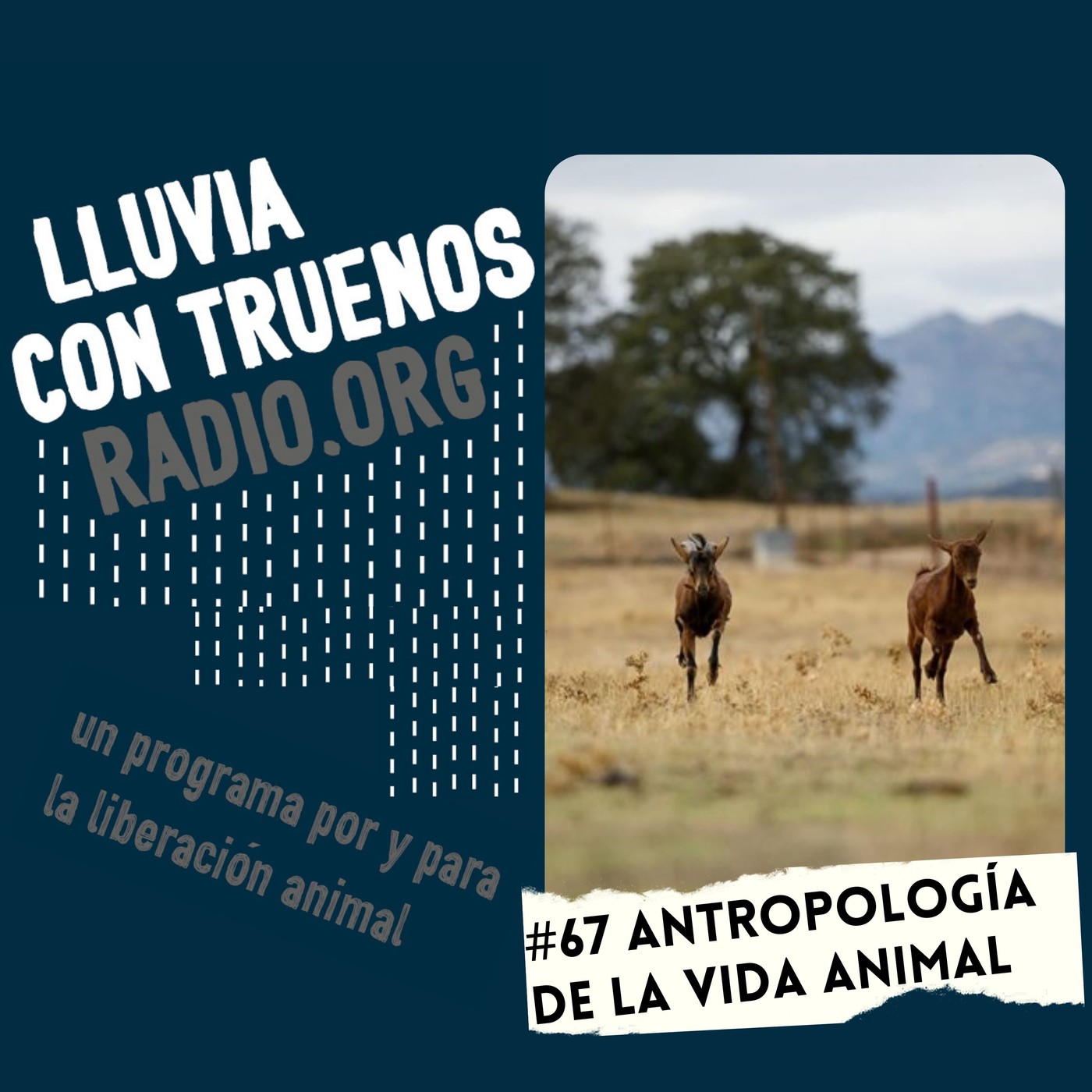 Lluvia con truenos radio