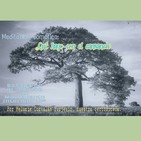 Qué hago con el cansancio - Meditación somática