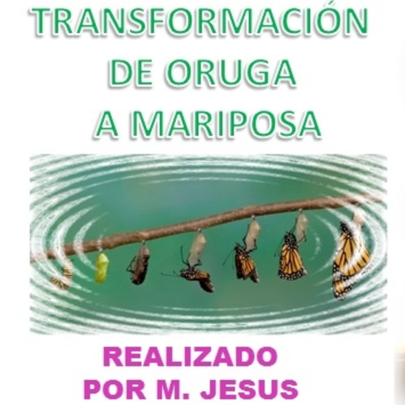 Equilibrio de vida