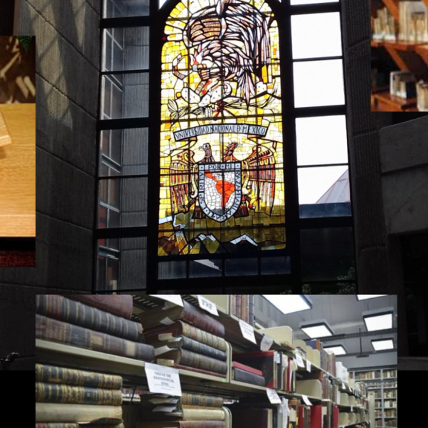 Palabras Cruzadas: el bibliopodcast
