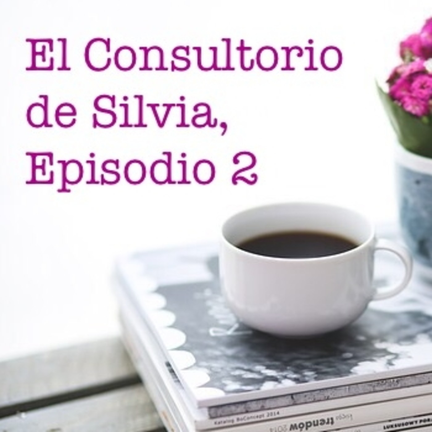El Consultorio de Silvia