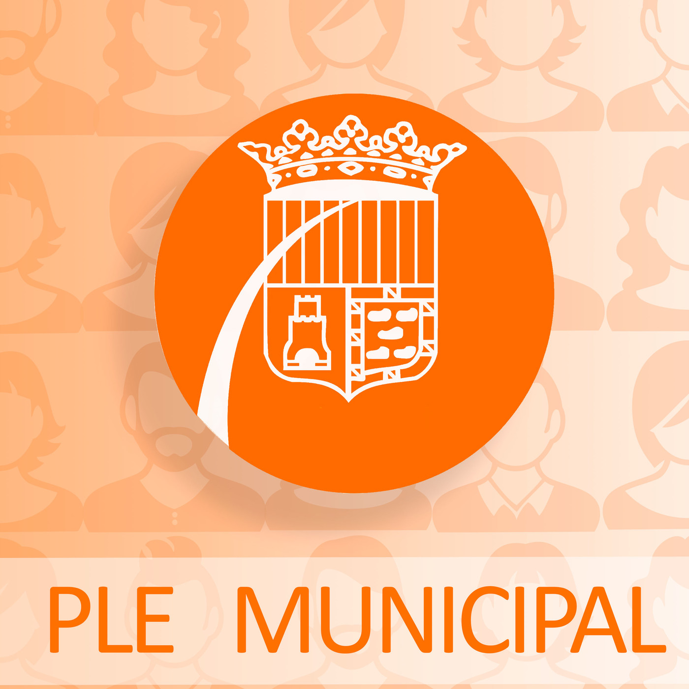 Ple municipal de març 2019. Sense talls episode artwork