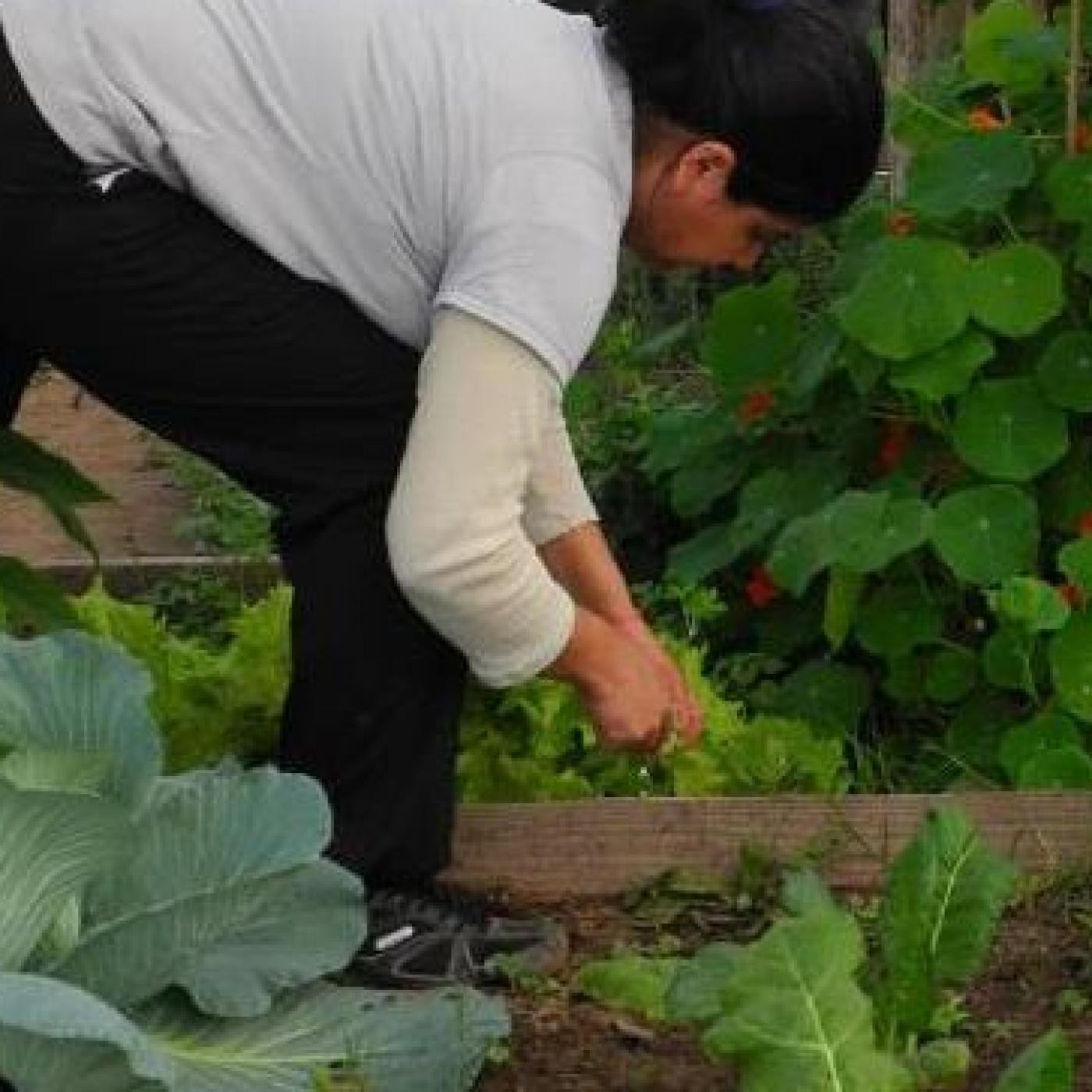 Podcast de Soberanía alimentaria y comuni