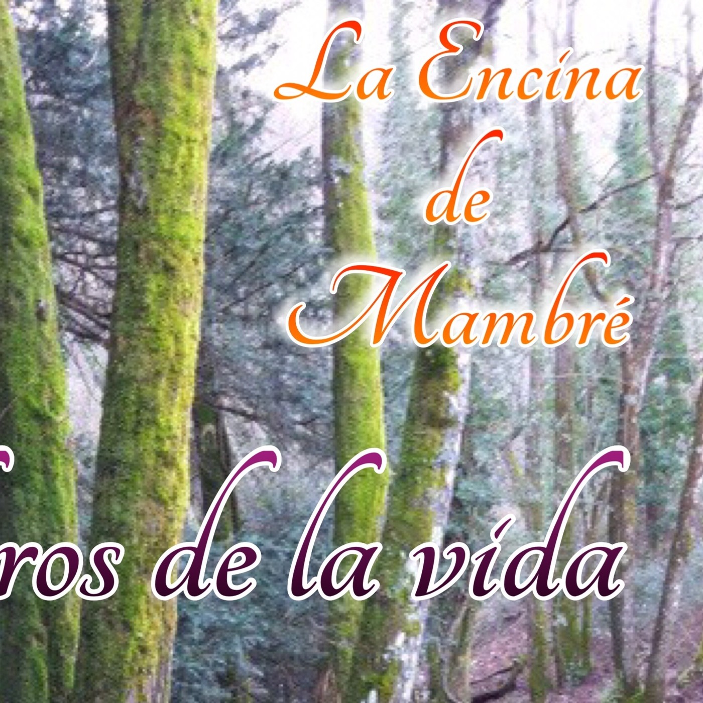La Encina de Mambré