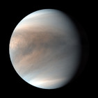 183 - ¿Vida en Venus?