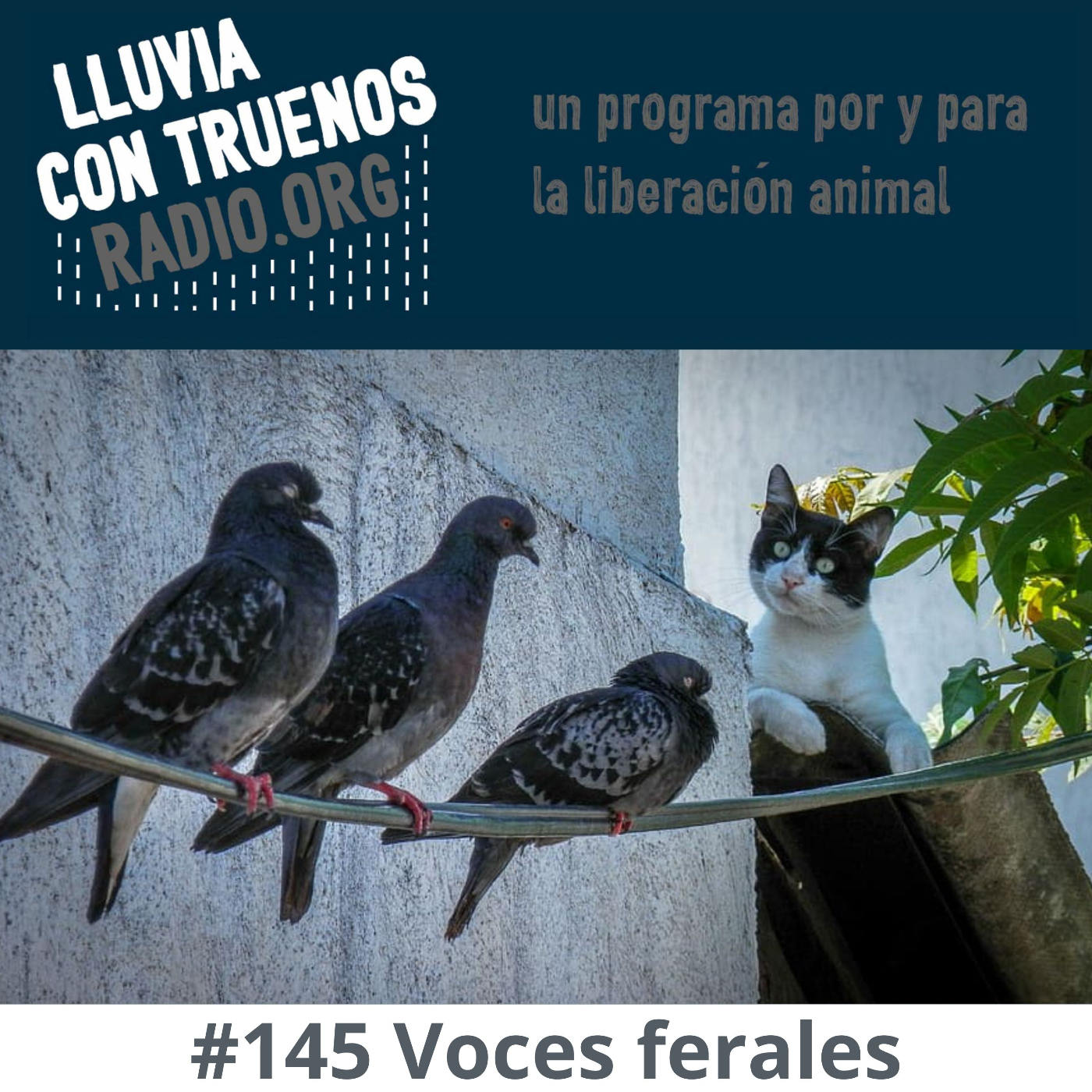 Lluvia con truenos radio