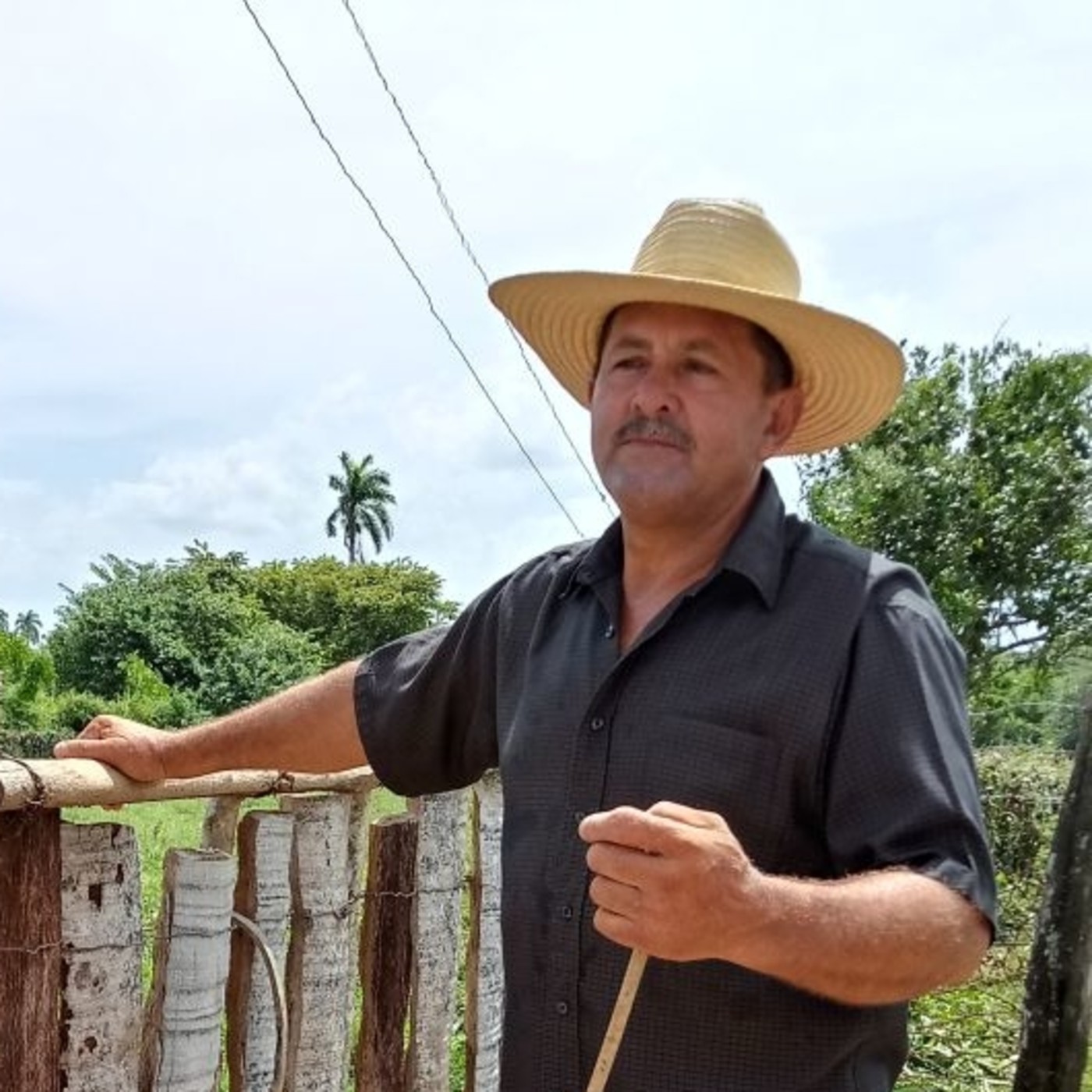 El guajiro Vidal ve con los ojos del corazón episode artwork