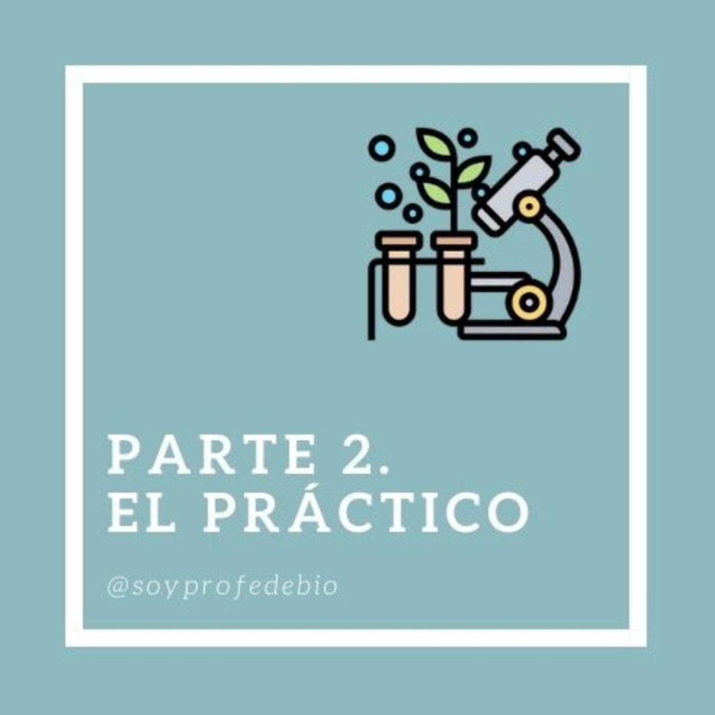 Parte 2. El práctico. episode artwork