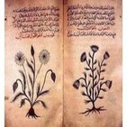 Medicina y Alquimia:El Legado Científico del Mundo Árabe
