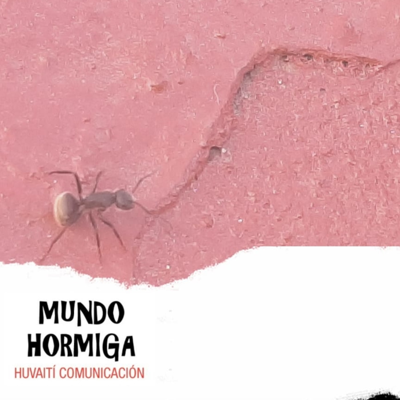 Mundo Hormiga - 26 de Septiembre 2021 episode artwork
