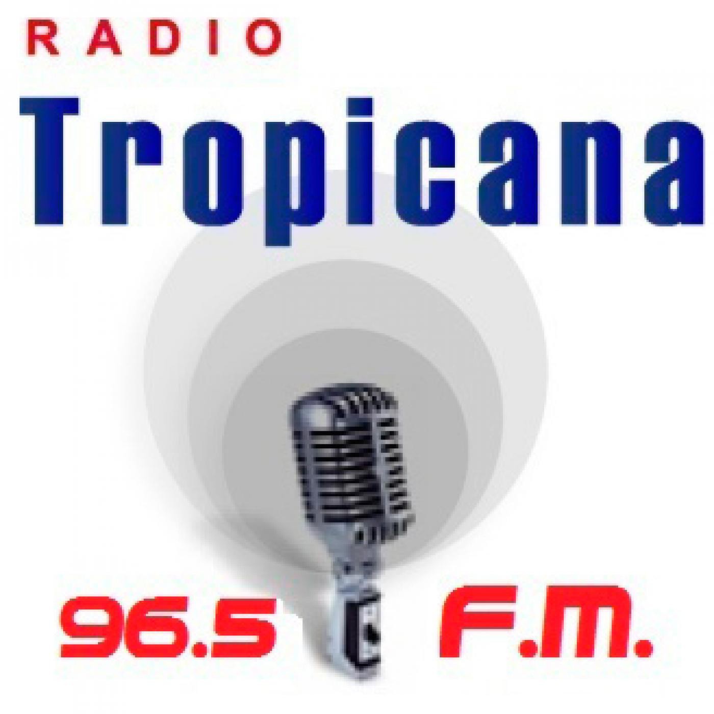 Guineo Guayas