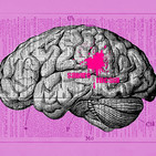 Sangre Fucsia #126 - Neurodivergentes -
