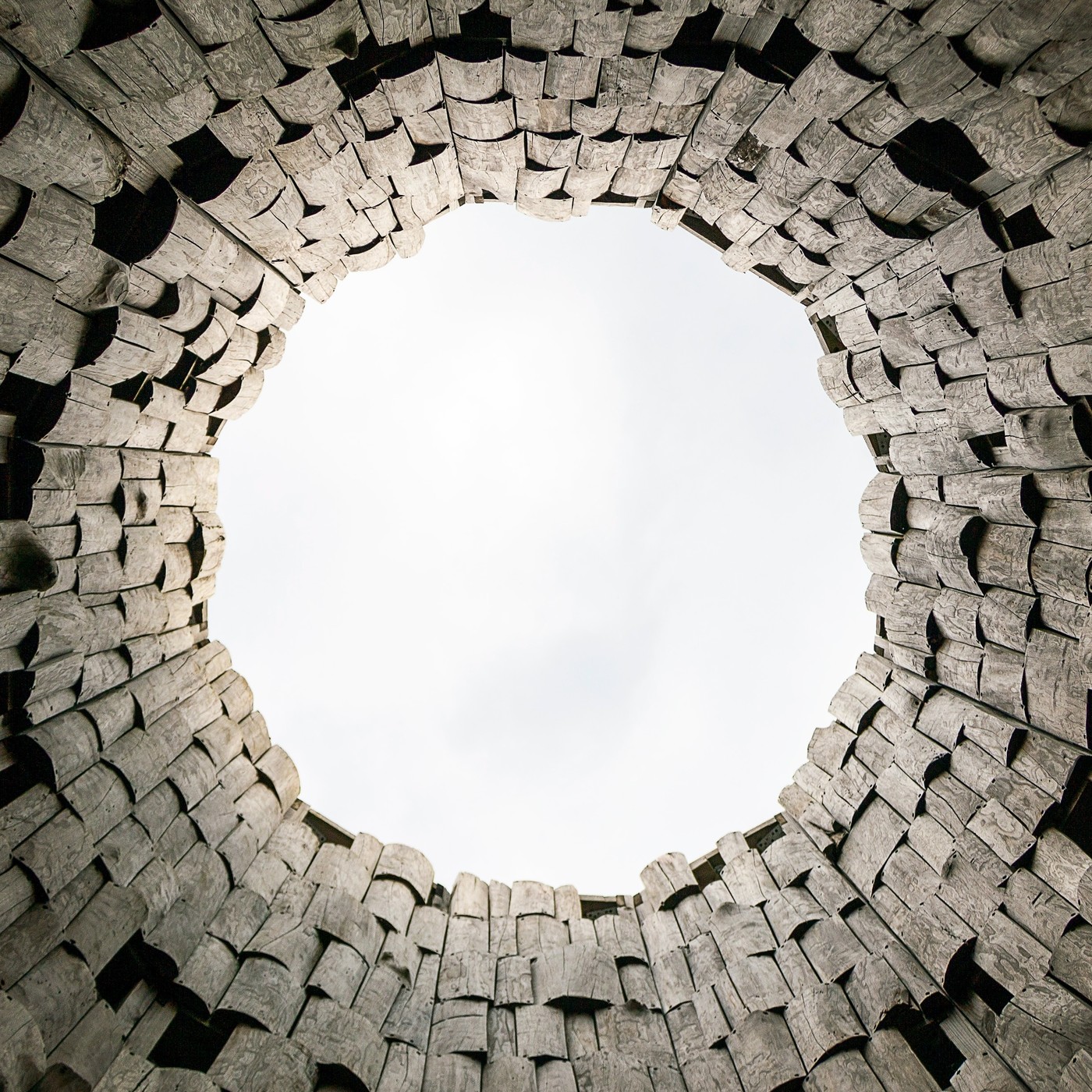 Terror En Los Bordes