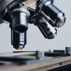 Ainara Otamendi eta Aspergillus baten sekretuak