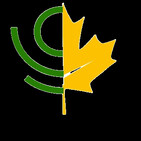 Folia project, reforestacion masiva
