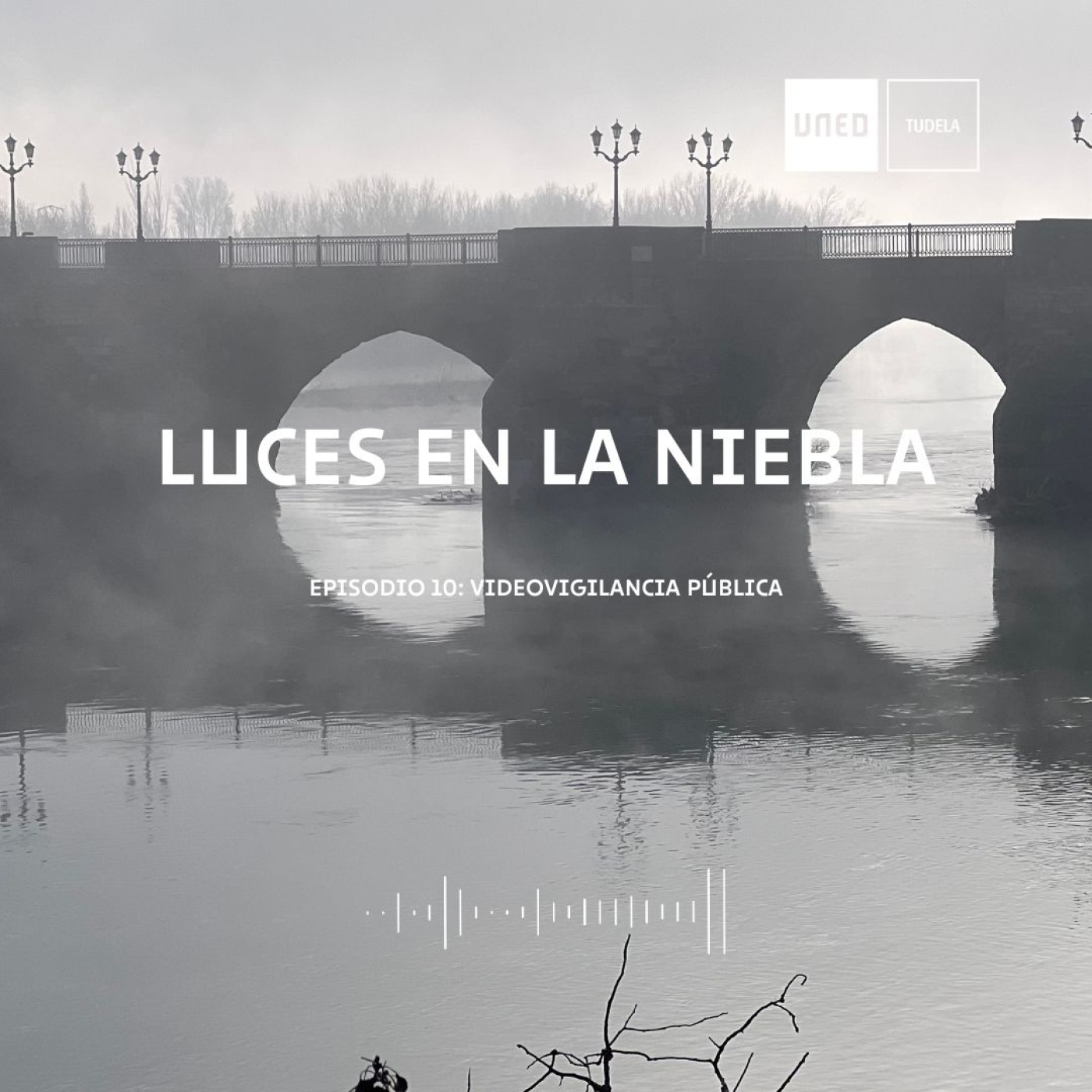 Luces en la niebla