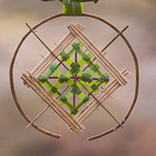 embed image