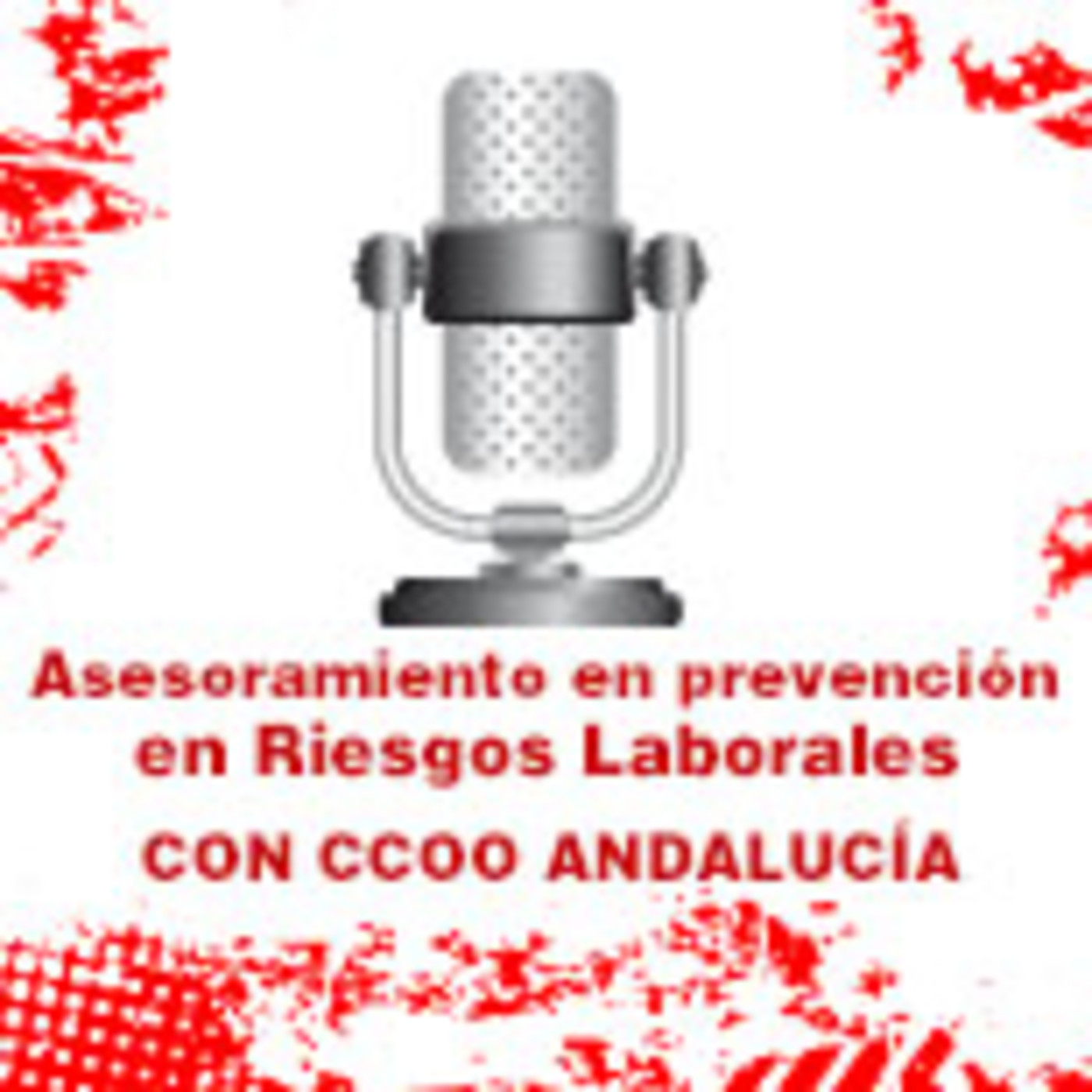 Asesoramiento e Información en Riesgos Laborales