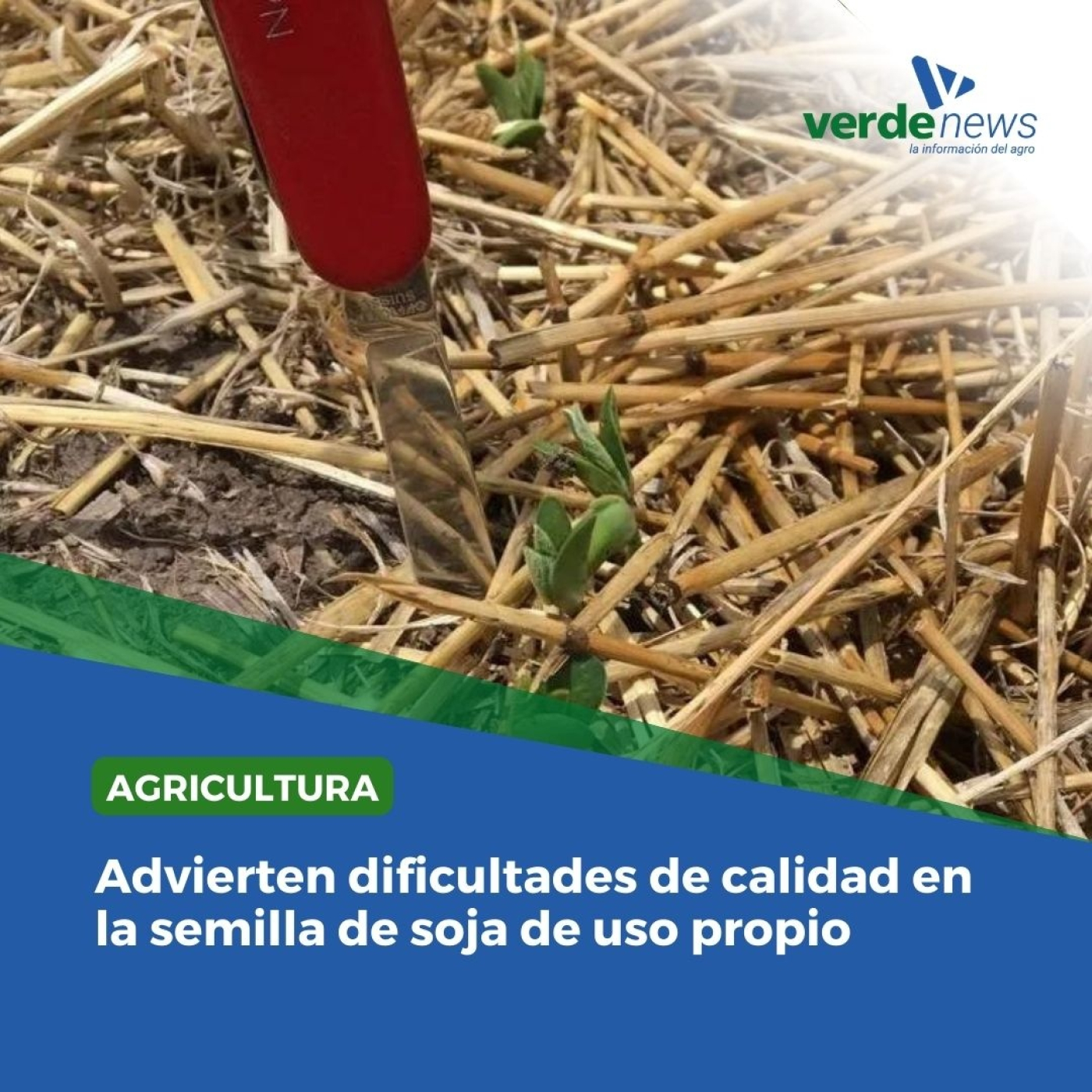 Carlos Pérez - director de Clínica Vegetal - 18/09/24 episode artwork