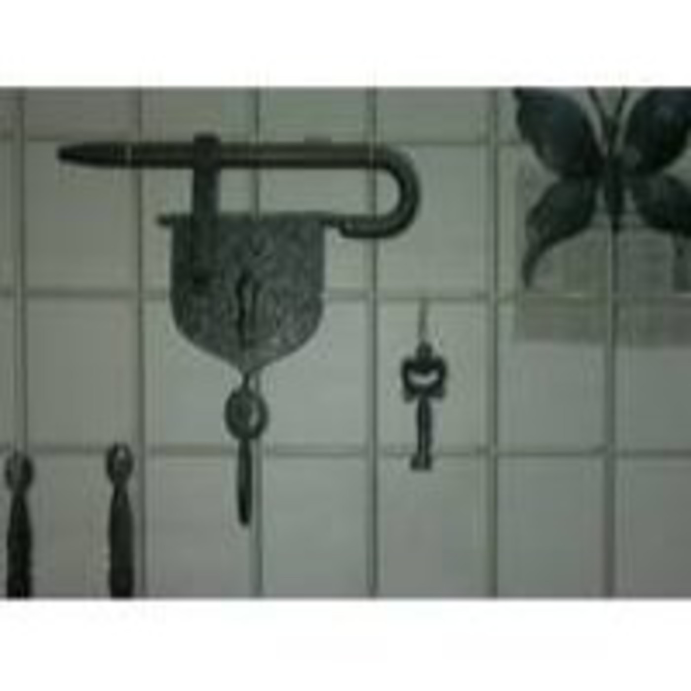 Te comparto experiencias