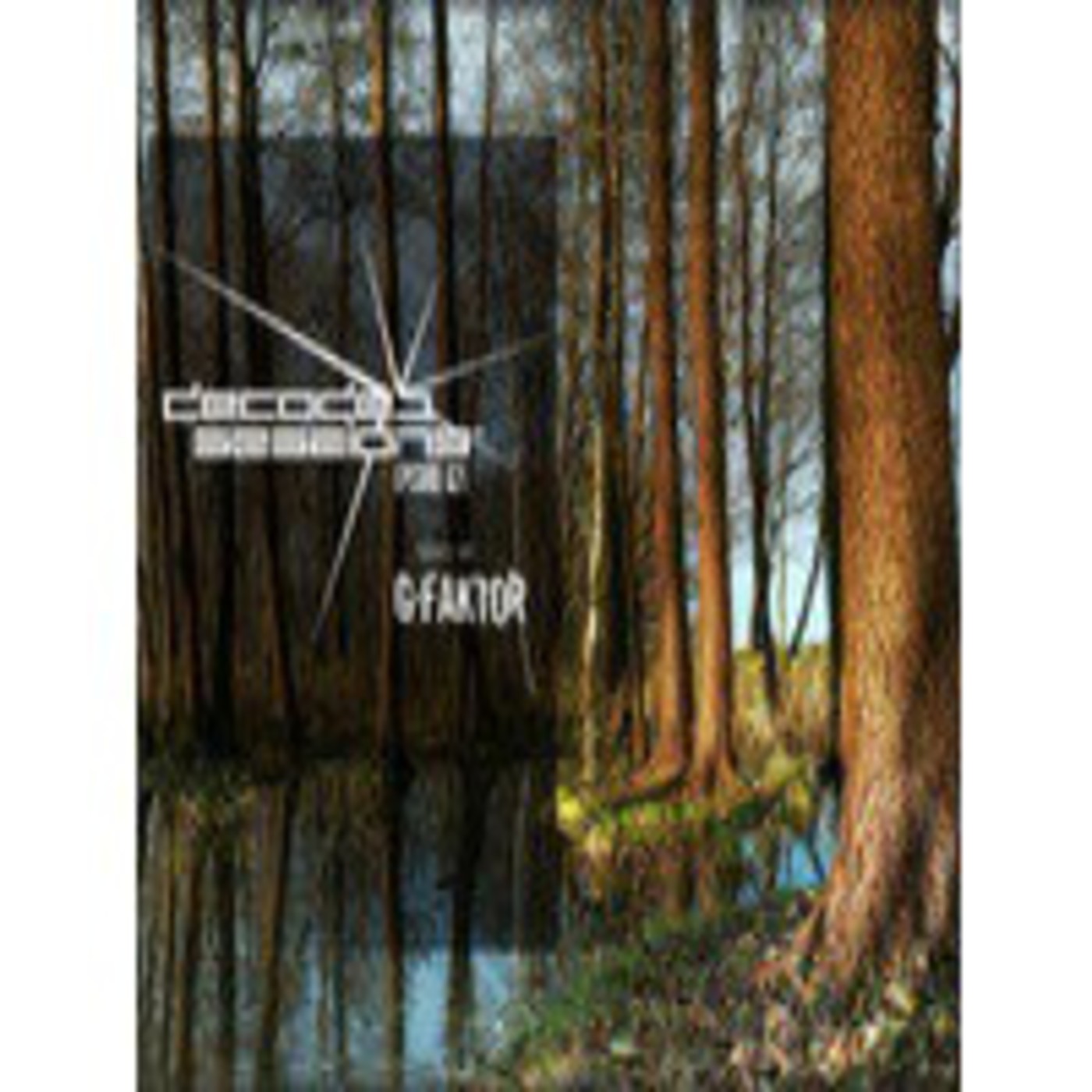 Decoded Sessions 021 episode artwork