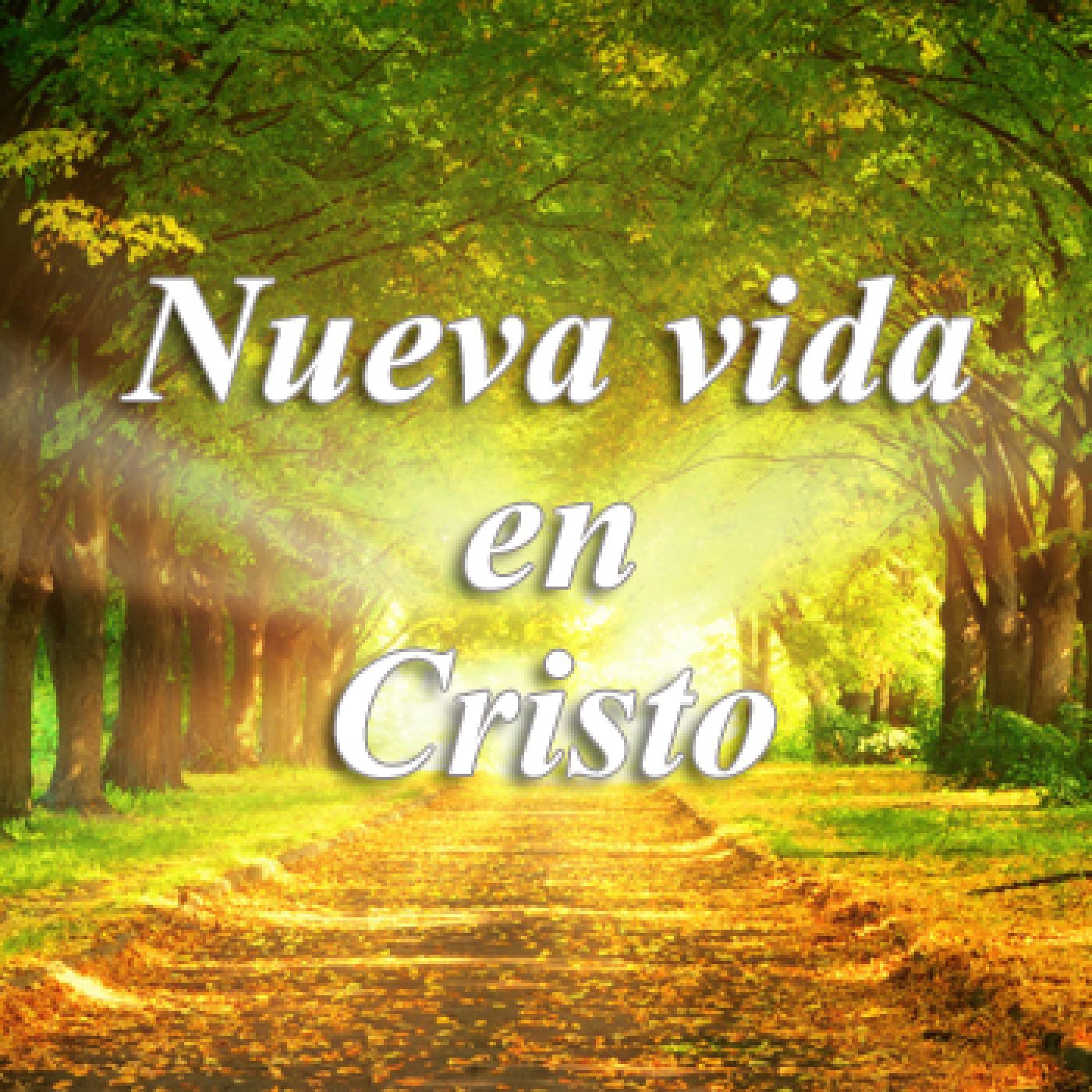 La nueva vida en Cristo - Salvavidas en el Aire episode artwork