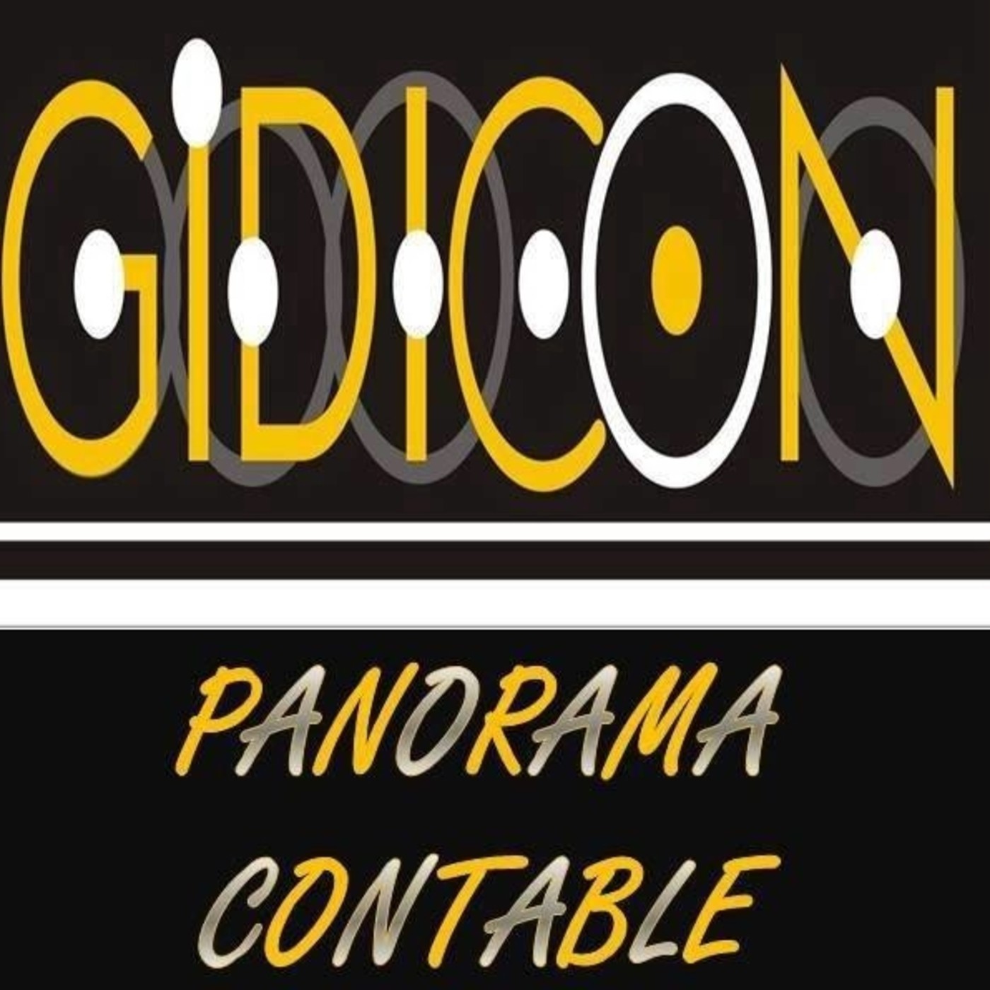 Panorama Contable