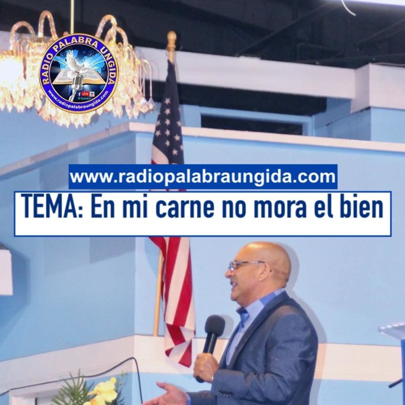 Edgar Calderon Tema: En mi carne no mora el bien episode artwork