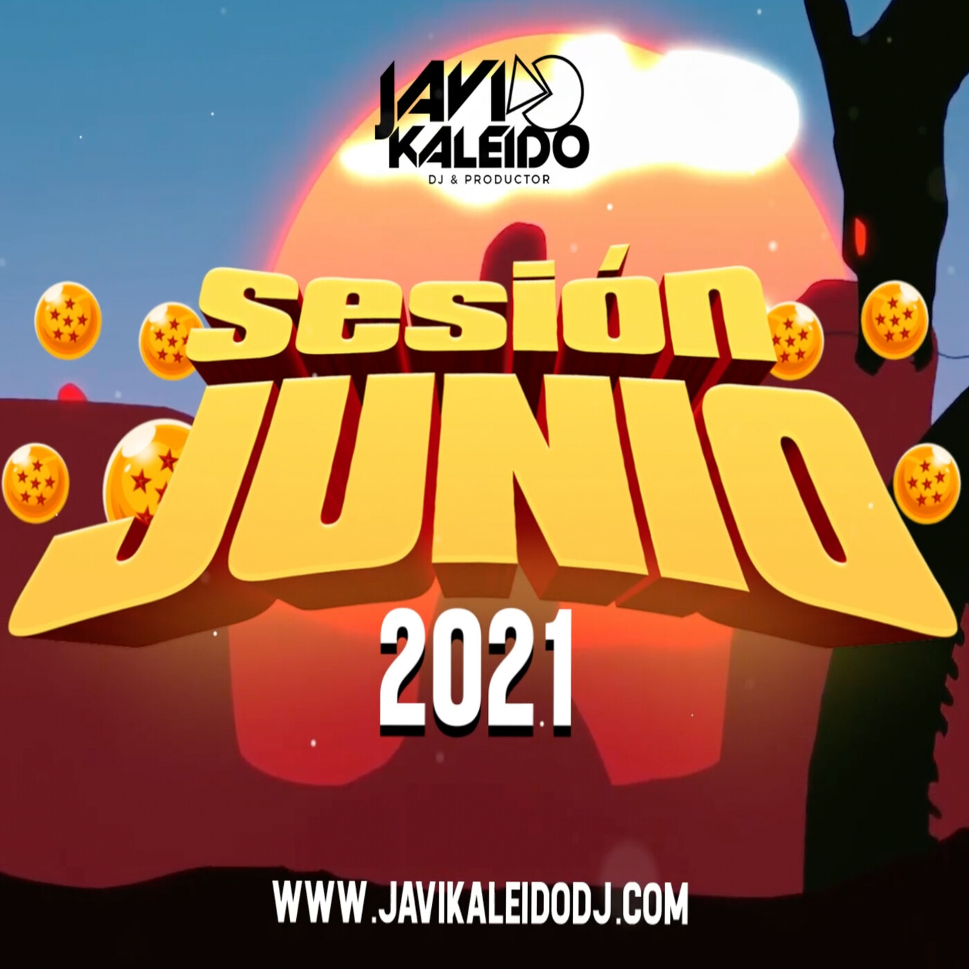 Javi Kaleido Dj
