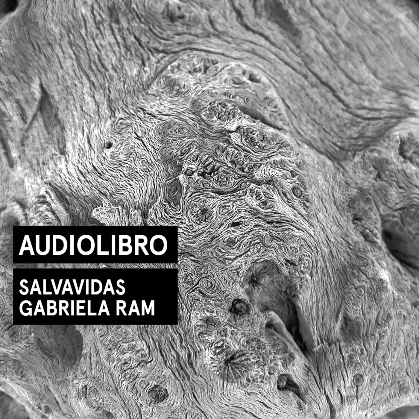 Audiolibros Por qué leer