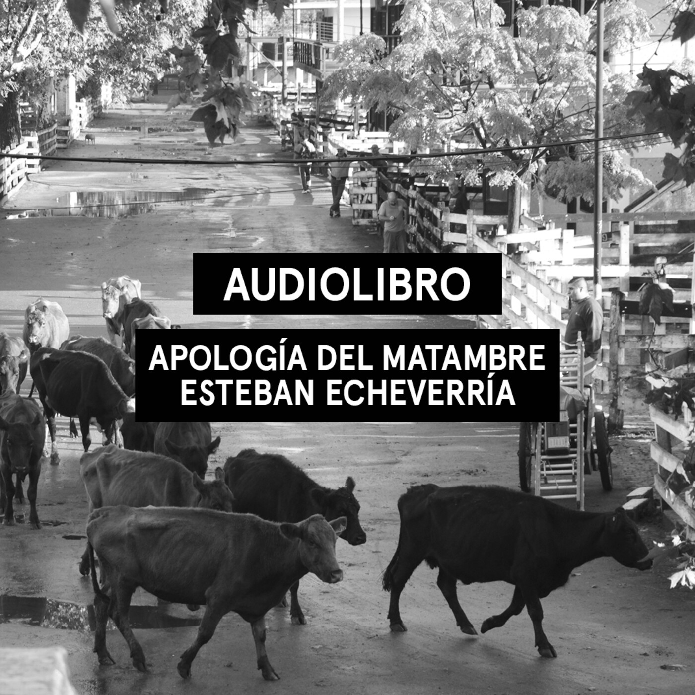 Apología del matambre - Esteban Echeverría