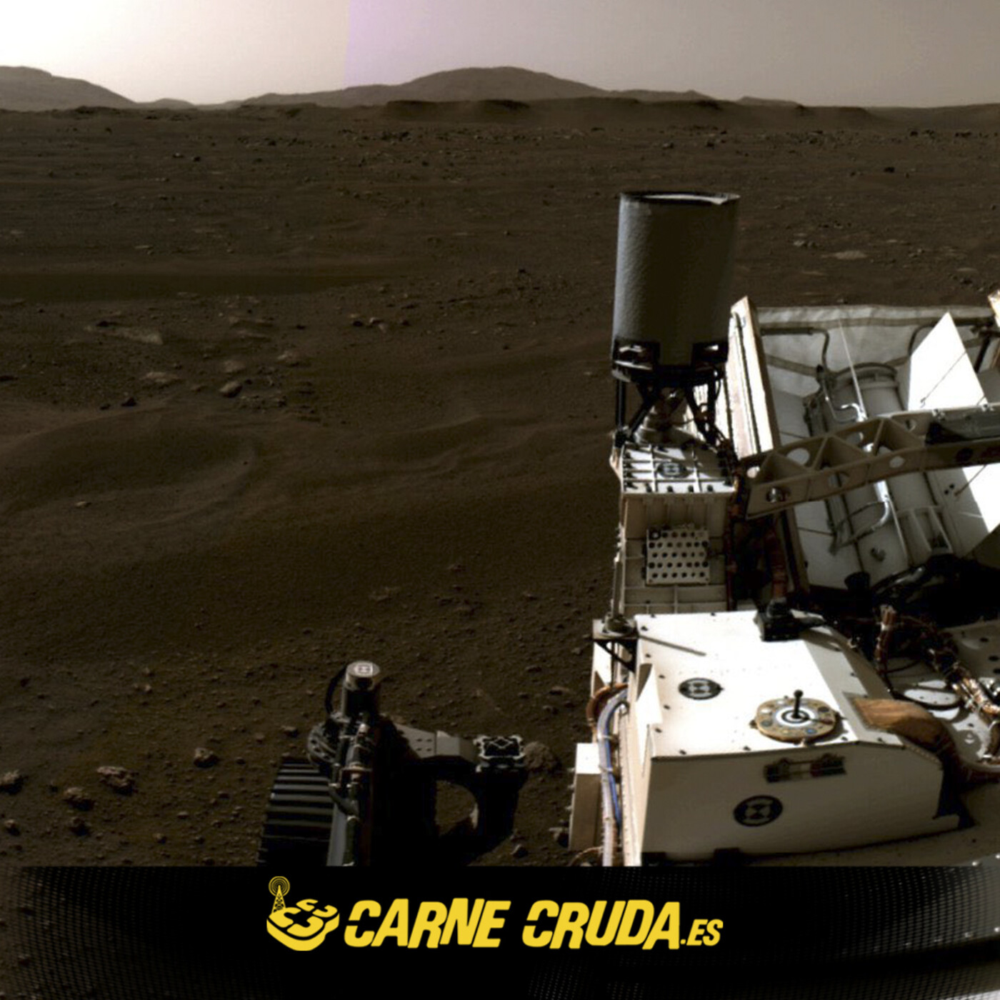 Carne Cruda - PROGRAMAS