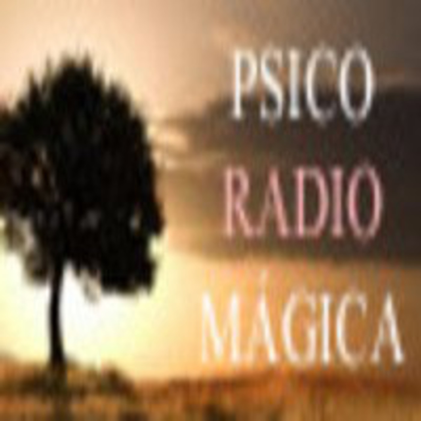Psicoradiomágica: La Madre 10 Noviembre episode artwork