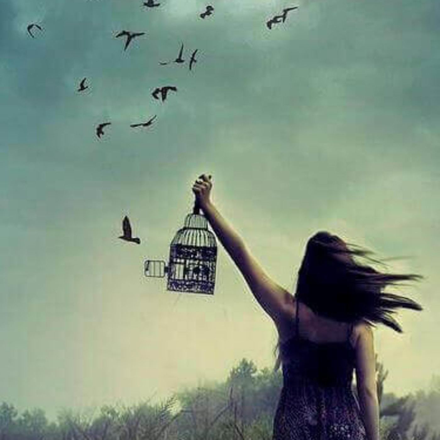 Visualización de María José Mochón