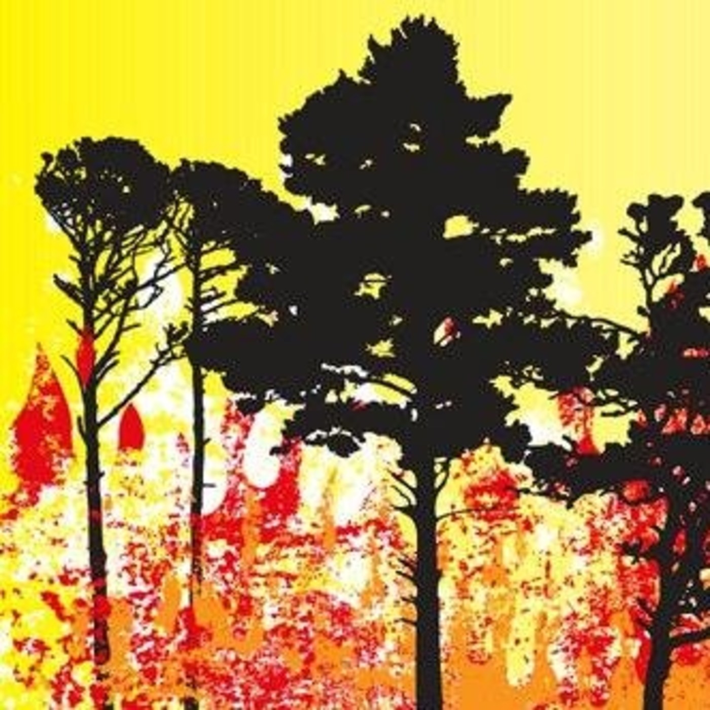 Viu la vida, dia a dia