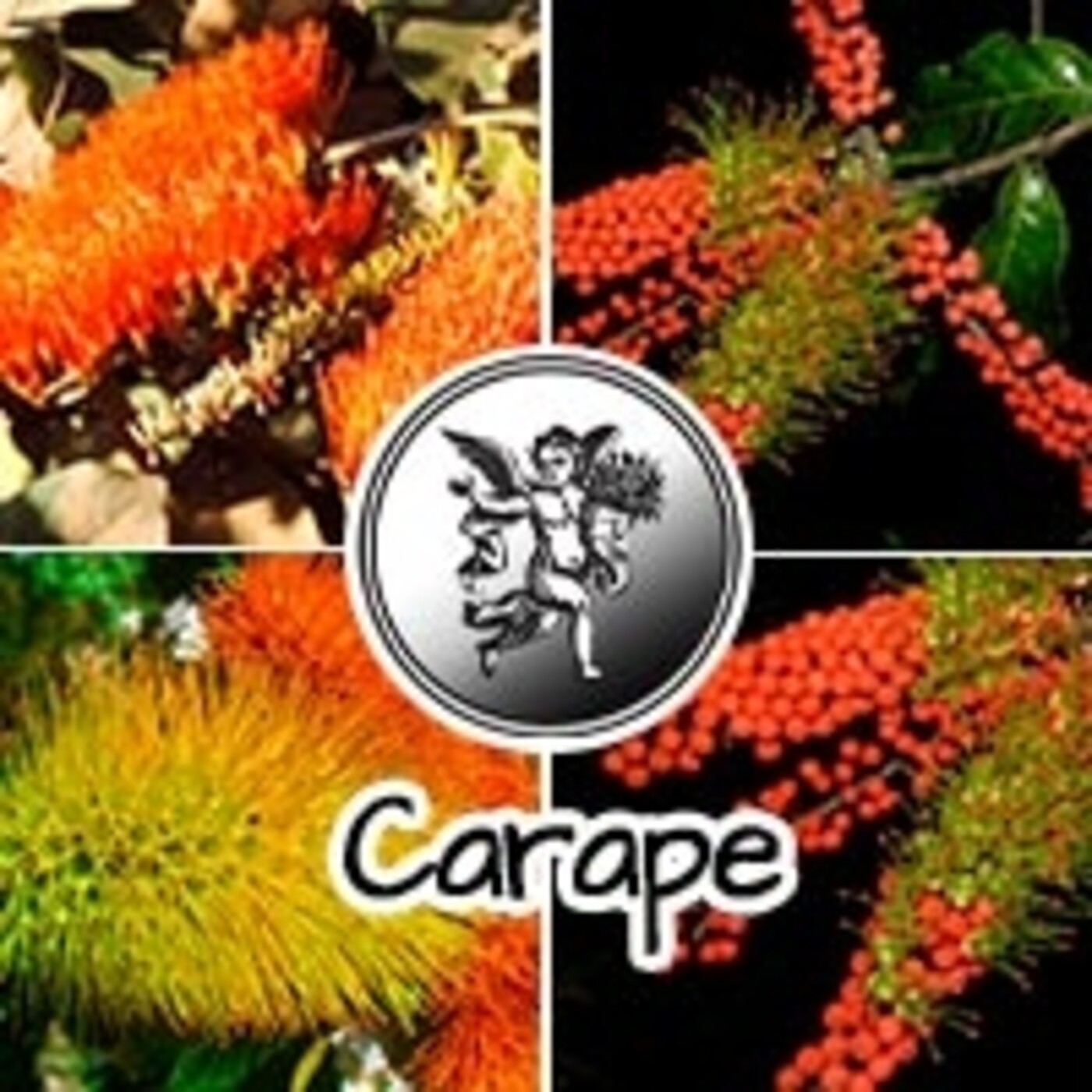 El Angel de tu Salud - CARAPE*
