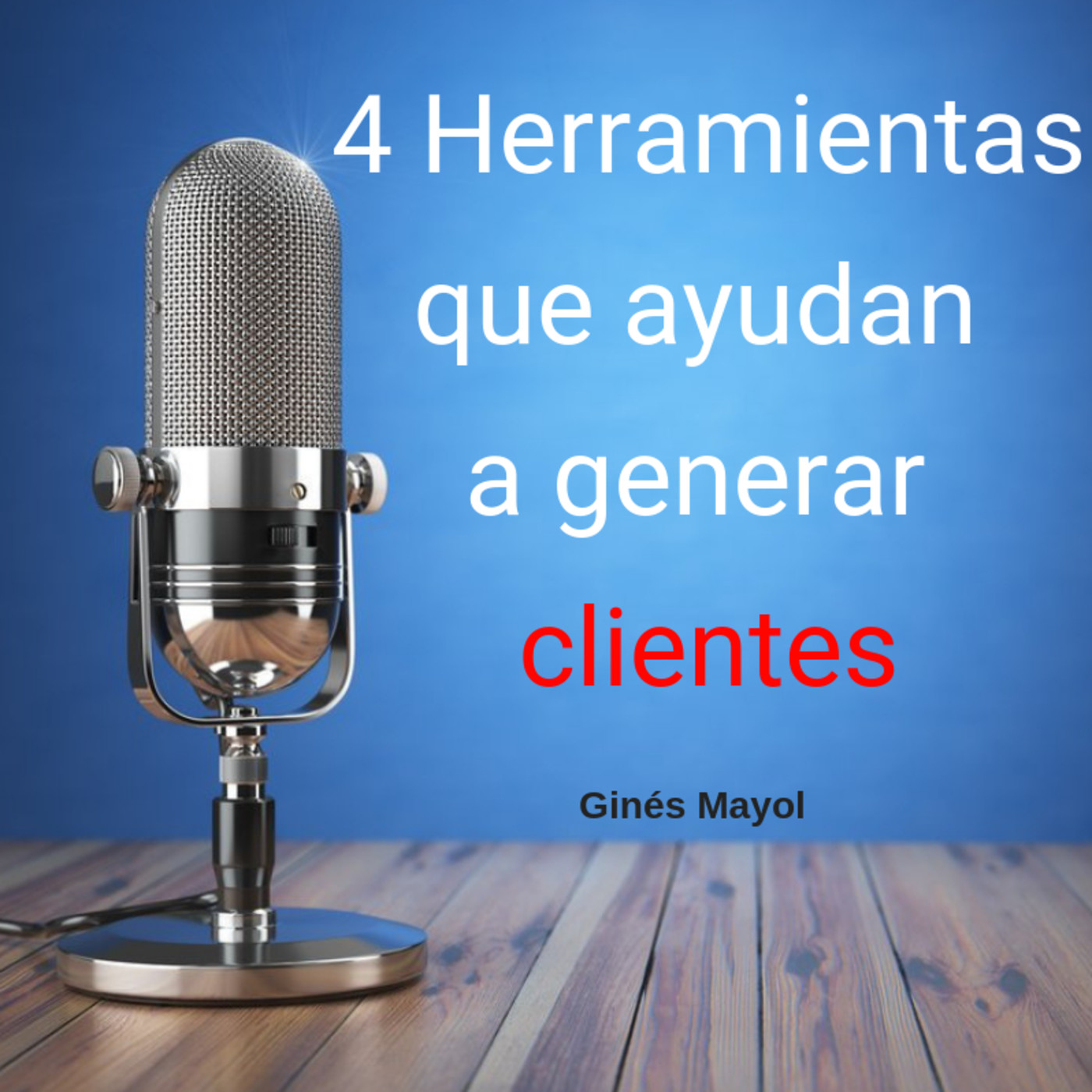 Gines Mayol - SEO