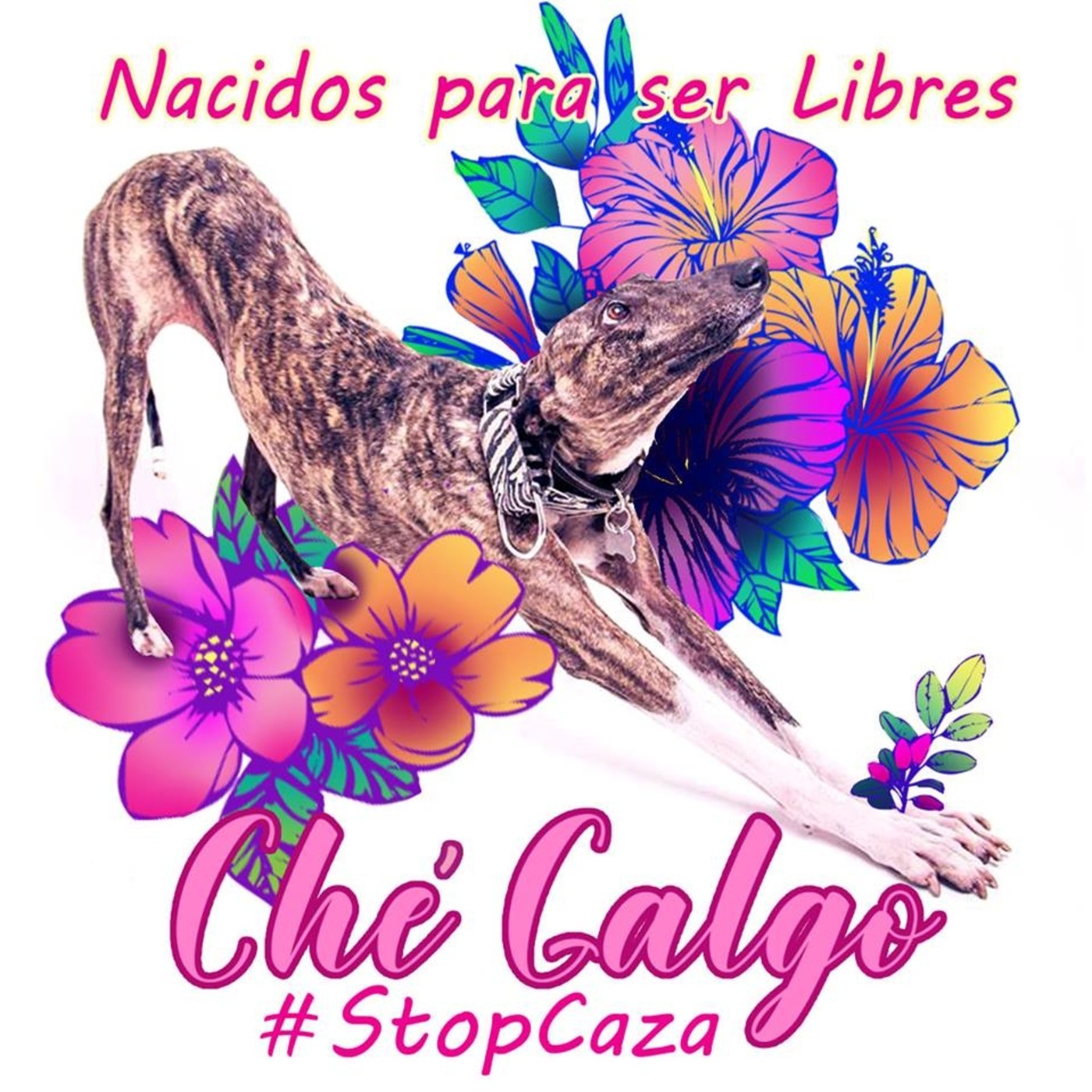 #VozAnimal 26.04.2019 #ConcienciaSolidariaONG #Córdoba episode artwork
