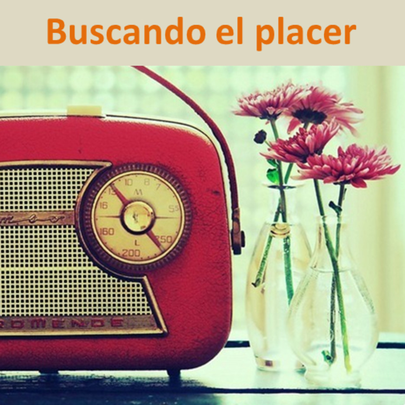 Buscando El Placer