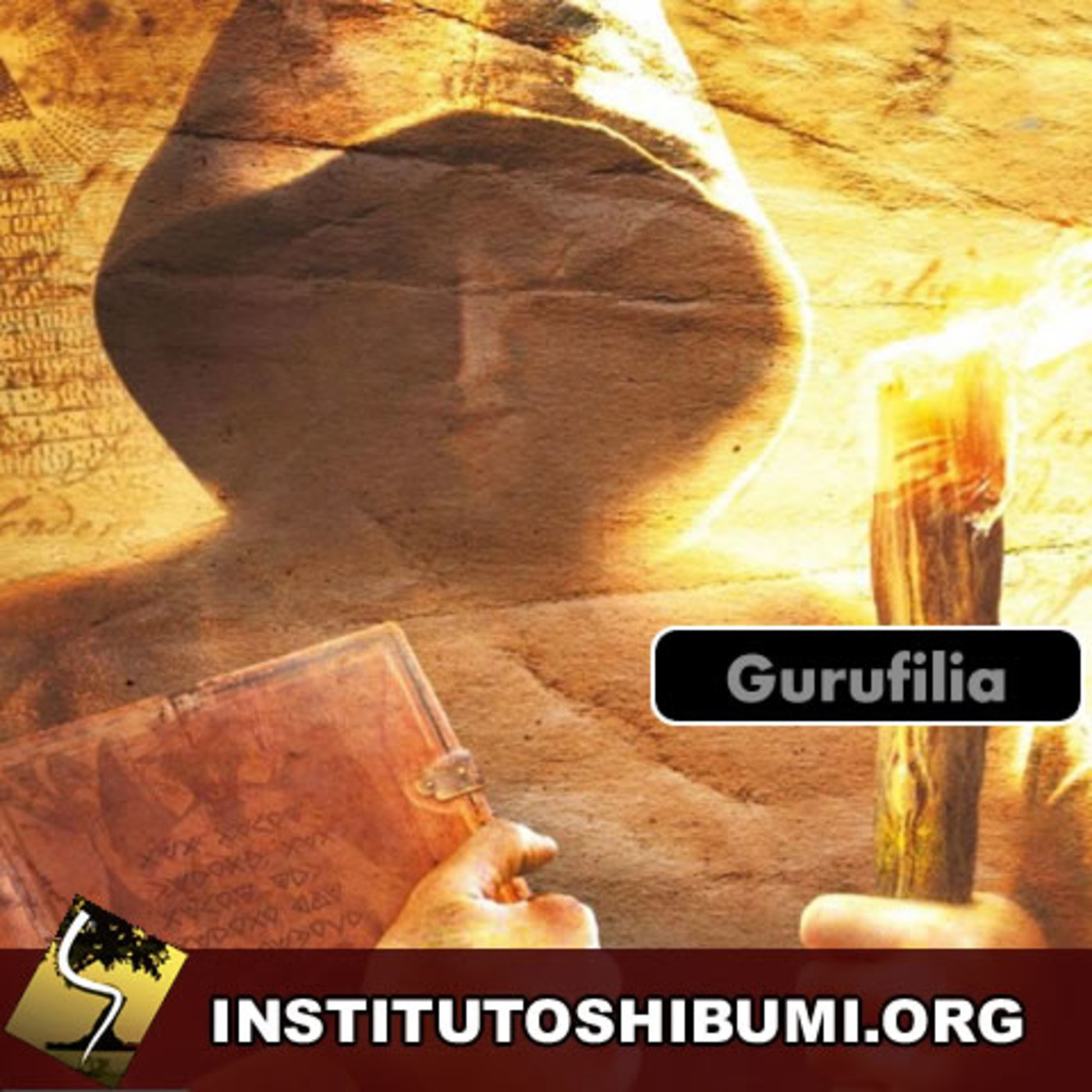 Conceitos Shibumistas